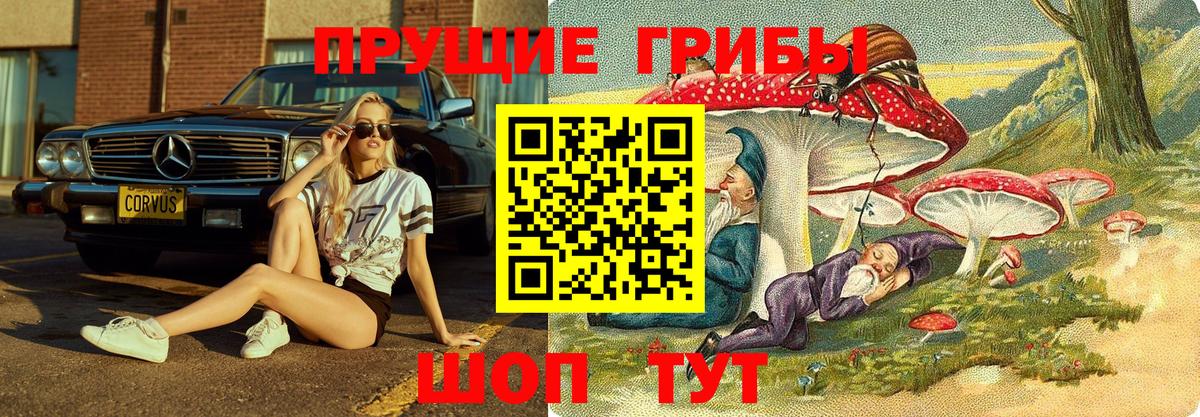Галлюциногенные грибы Cubensis Отрадное